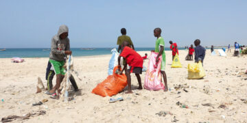 Emigration irrégulière : Les parents des victimes nettoient la plage à Mbour