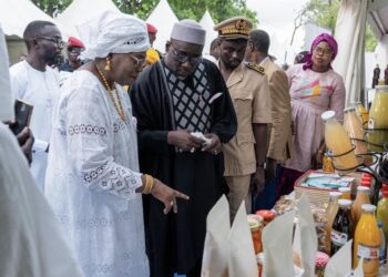 Rencontres économiques et commerciales du Sénégal : Le satisfecit du ministre de la microfinance, Alioune Dione  2 Rencontres économiques et commerciales du Sénégal : Le satisfecit du ministre de la microfinance, Alioune Dione