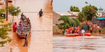 “CRUE DU FLEUVE “ : quand la négligence et le manque de coordination mènent à la catastrophe