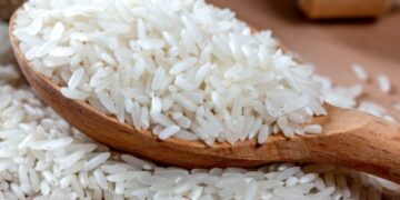 L’Inde autorise ses exportations de riz blanc non basmati : Baisse du prix sur le marché mondial