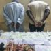 Enorme saisie de chanvre indien et de faux billets par la gendarmerie 7 Enorme saisie de chanvre indien et de faux billets par la gendarmerie