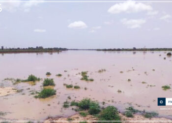 Nouvelle onde de crue sur le fleuve Sénégal : l’alerte maximale de l’Omvs aux populations