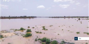 Nouvelle onde de crue sur le fleuve Sénégal : l'alerte maximale de l'Omvs aux populations 10 Nouvelle onde de crue sur le fleuve Sénégal : l’alerte maximale de l’Omvs aux populations