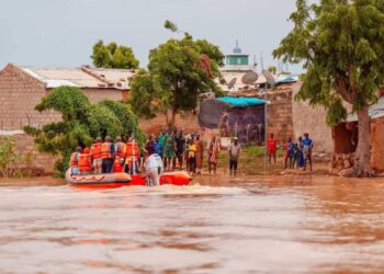 Baadoolo : Après la planète 2050, retour sur terre