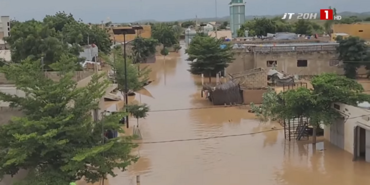 Le billet du Baadoolo : Cotise pas, njacc pas ! 1 Le billet du Baadoolo : Cotise pas, njacc pas !