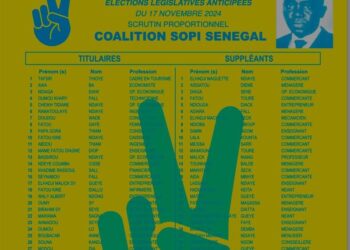 Le Pds réplique : «Sopi Sénégal voulait usurper les couleurs et le symbole du Pds»