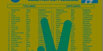 Le Pds réplique : «Sopi Sénégal voulait usurper les couleurs et le symbole du Pds»