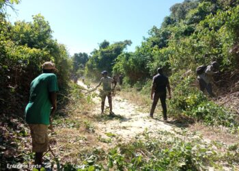 Les populations de Youtou et d’Effoc réparent la piste Oukout-Youtou dans l’espoir de surmonter l’enclavement