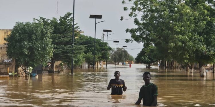 Inondations à Bakel : Plus de deux mois après, la commune de Ballou attend toujours l’aide de l’État 1 Inondations à Bakel : Plus de deux mois après, la commune de Ballou attend toujours l’aide de l’État