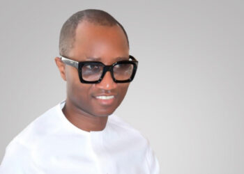 Le Conseil Constitutionnel : Gardien ou Spectateur de la Démocratie ?