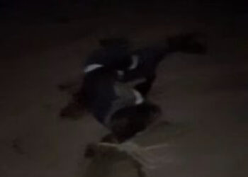 Tchad : Bilan de l’attaque contre le palais présidentiel, 19 morts et 9 blessés