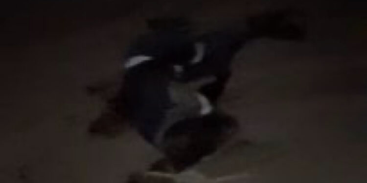 Tchad : Bilan de l’attaque contre le palais présidentiel, 19 morts et 9 blessés