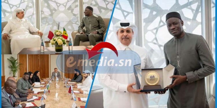 Abass Fall décroche 1 000 emplois pour les sénégalais au Qatar 1 Abass Fall décroche 1 000 emplois pour les sénégalais au Qatar