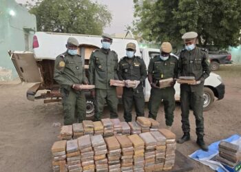 Kaffrine : Les saisies et recettes douanières en 2024 se chiffrent à 19 milliards de francs CFA