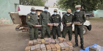 Kaffrine : Les saisies et recettes douanières en 2024 se chiffrent à 19 milliards de francs CFA