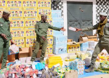 Les Douanes sénégalaises réalisent des performances record en 2024
