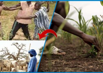 Bagarre sanglante entre bergers et cultivateurs : deux blessés graves