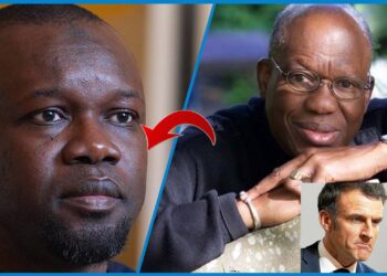 LA FRANCE ET L’AFRIQUE : LA LONGUE FIDÉLITÉ D’UNE AMANTE D’ÉBÈNE SI SPOLIÉE !