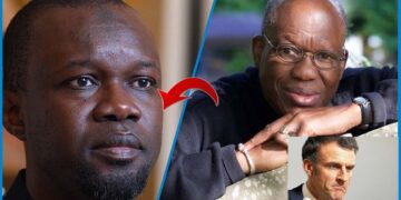 LA FRANCE ET L’AFRIQUE : LA LONGUE FIDÉLITÉ D’UNE AMANTE D’ÉBÈNE SI SPOLIÉE ! 9 LA FRANCE ET L’AFRIQUE : LA LONGUE FIDÉLITÉ D’UNE AMANTE D’ÉBÈNE SI SPOLIÉE !