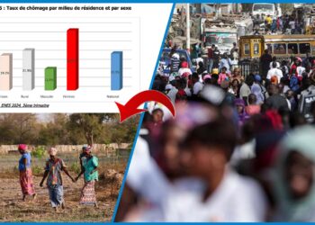 Chômage au 3ᵉ trimestre 2024 : une hausse qui frappe plus les femmes et les zones rurales