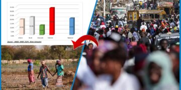 Chômage au 3ᵉ trimestre 2024 : une hausse qui frappe plus les femmes et les zones rurales 2 Chômage au 3ᵉ trimestre 2024 : une hausse qui frappe plus les femmes et les zones rurales