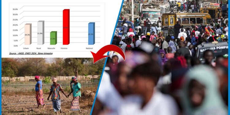 Chômage au 3ᵉ trimestre 2024 : une hausse qui frappe plus les femmes et les zones rurales 1 Chômage au 3ᵉ trimestre 2024 : une hausse qui frappe plus les femmes et les zones rurales