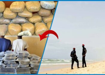 Coup de filet à Almadies et Keur Massar : 82,5 kg de drogue saisis et 5 trafiquants arrêtés !
