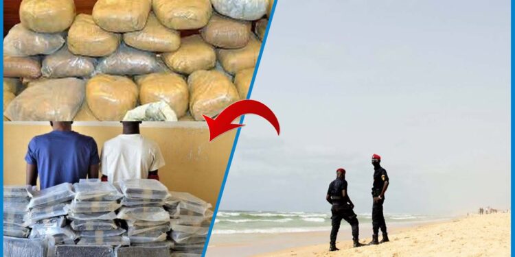 Coup de filet à Almadies et Keur Massar : 82,5 kg de drogue saisis et 5 trafiquants arrêtés !
