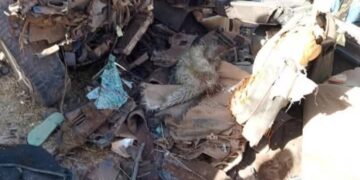 FB IMG 1738313214135