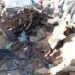 Accident à Keur Madiabel : 7 membres d’une même famille périssent, Ndiayène Momath demande au gouvernement une assistance psychologique 6 FB IMG 1738313214135