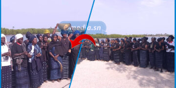 Deux ans après la disparition de Didier Badji et Fulbert Sambou, Niomoune crie sa colère et exige la vérité