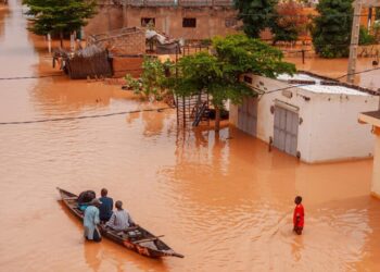Crue du fleuve Sénégal : Un Bilan Économique de 39,8 Milliards FCFA en Pertes
