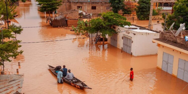 Crue du fleuve Sénégal : Un Bilan Économique de 39,8 Milliards FCFA en Pertes 1 Crue du fleuve Sénégal : Un Bilan Économique de 39,8 Milliards FCFA en Pertes