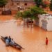 Crue du fleuve Sénégal : Un Bilan Économique de 39,8 Milliards FCFA en Pertes 7 Crue du fleuve Sénégal : Un Bilan Économique de 39,8 Milliards FCFA en Pertes