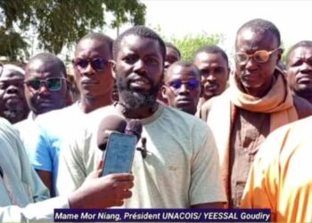 IMG 20250129 WA0337 1