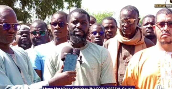 IMG 20250129 WA0337 1