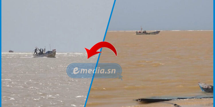 Saint-Louis : 14 morts en une semaine, les pêcheurs exigent des mesures urgentes contre la brèche meurtrière 1 Saint-Louis : 14 morts en une semaine, les pêcheurs exigent des mesures urgentes contre la brèche meurtrière