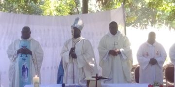 Journée mondiale de prière pour la paix : L'évêque de Ziguinchor lance un appel à la réconciliation et au développement durable en Casamance 1 Journée mondiale de prière pour la paix : L’évêque de Ziguinchor lance un appel à la réconciliation et au développement durable en Casamance