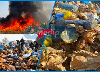 Ziguinchor : 3,5 tonnes de chanvre indien et 226 millions de produits illicites détruits