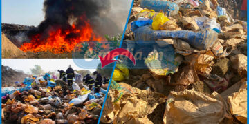 Ziguinchor : 3,5 tonnes de chanvre indien et 226 millions de produits illicites détruits