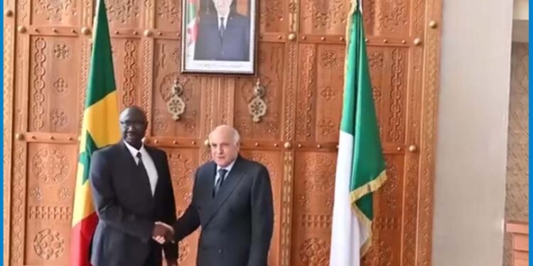Sénégal-Algérie : Le Général Birame Diop plaide pour une souveraineté sans compromis 1 Sénégal-Algérie : Le Général Birame Diop plaide pour une souveraineté sans compromis