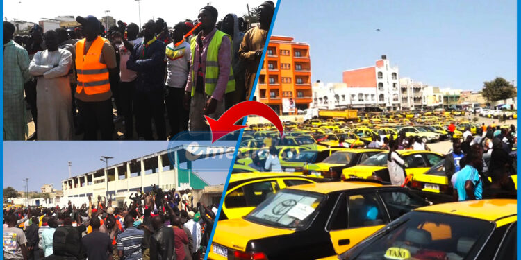 Guédiawaye : Les transporteurs se mobilisent contre la « concurrence déloyale » des plateformes internationales et interpellent les autorités