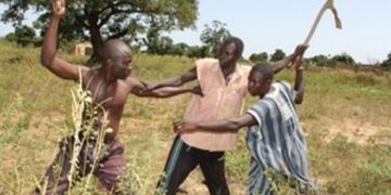 Kaffrine Conflits récurrents entre agriculteurs et éleveurs : plusieurs personnes y ont perdu la vie en 2024 et le drame continue en 2025