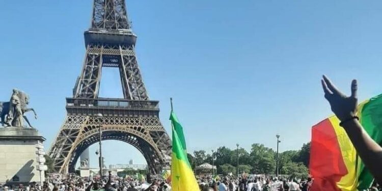 LES DIASPORAS POURRAIENT OBTENIR MIEUX CAR ELLES SAVENT FAIRE 1 LES DIASPORAS POURRAIENT OBTENIR MIEUX CAR ELLES SAVENT FAIRE