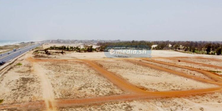 Restitution des terres : le collectif Dialoba presse l’État avant la saison des pluies 1 Gestion foncière : des annulations et corrections ordonnées par les autorités concernant plusieurs lotissements