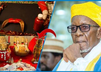 Gamou de Keur Madiabel : Cheikh Mahi Niass dénonce les charlatans des réseaux sociaux