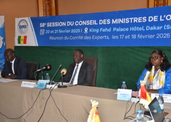 Réunion de l’OHADA : Le ministre de la Justice prépare des décisions stratégiques pour l’avenir de l’organisation 2 DSC 5461