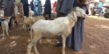 FB IMG 1739349785749