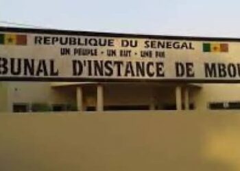 Mbour – Une jeune femme condamnée pour insultes et violences contre la seconde épouse de son père 9 FB IMG 1739519039892