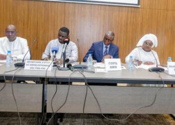 Le Bureau de Mise à Niveau valide 4,68 milliards de FCFA d’investissements pour 52 entreprises 2 FB IMG 1739619474684